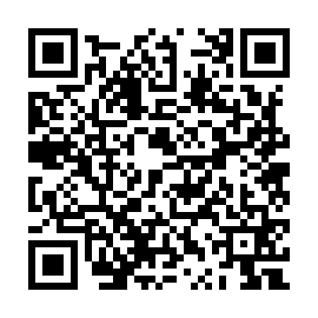 QR code for ZTR9613