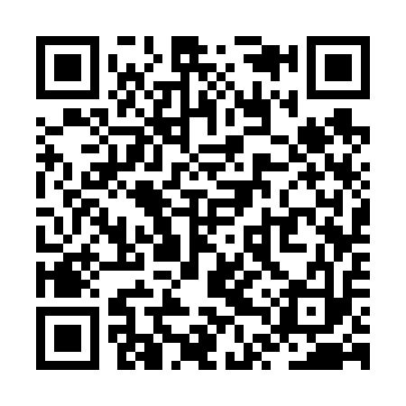 QR code for ZTS613