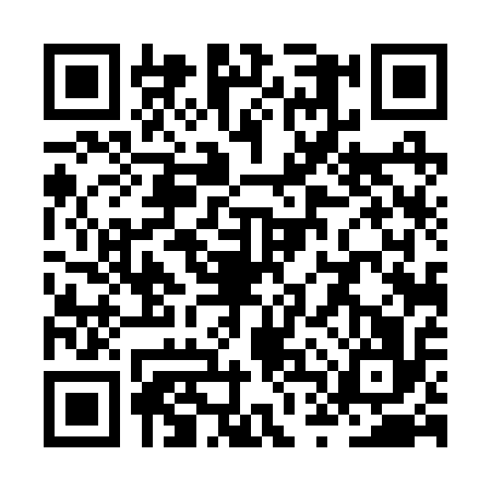 QR code for ZTT2161