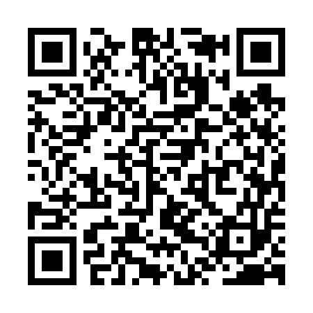 QR code for ZTU653