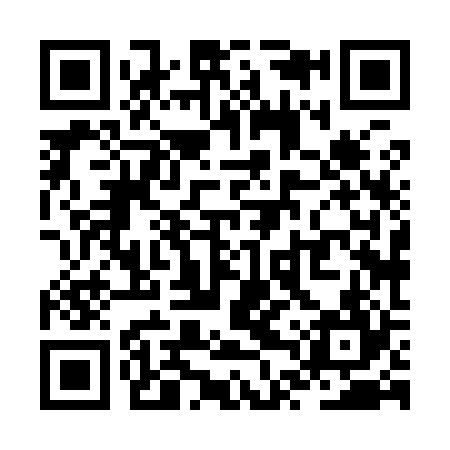 QR code for ZTX924