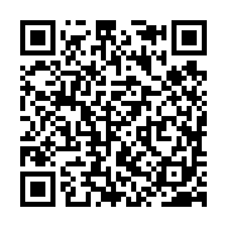QR code for ZTZ691