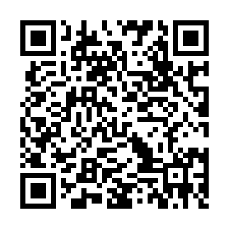 QR code for ZUI990