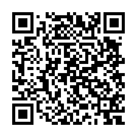 QR code for ZUR411