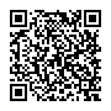 QR code for ZUZ993