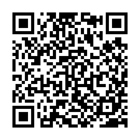 QR code for ZVI685