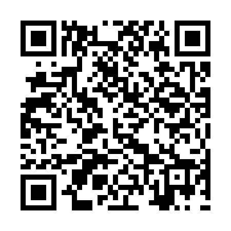 QR code for ZVM328