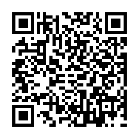 QR code for ZVN3489