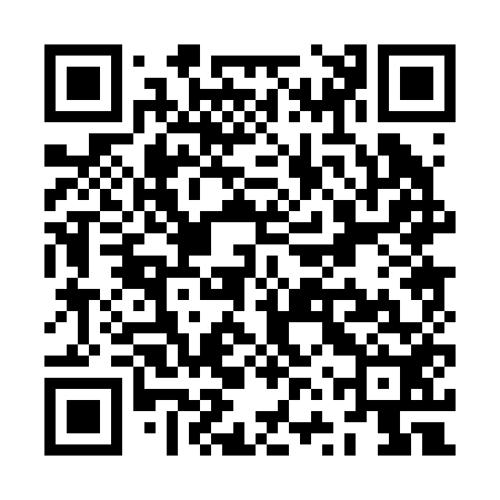 QR code for ZVP252