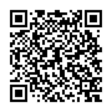 QR code for ZVR333