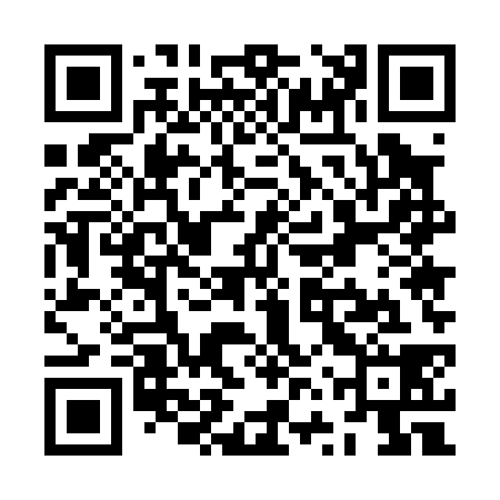 QR code for ZVU038