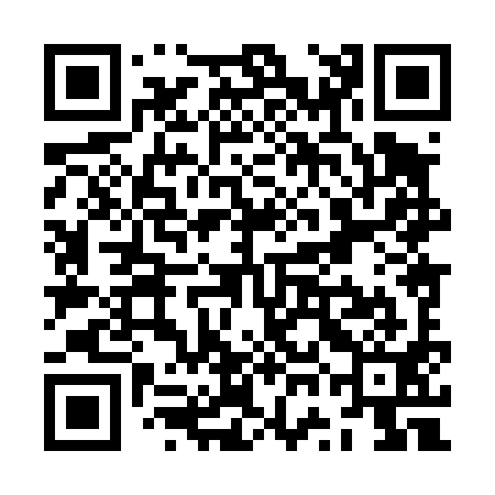 QR code for ZWH491