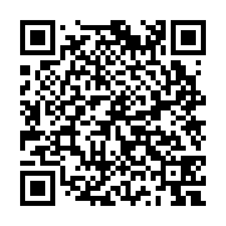 QR code for ZWO338