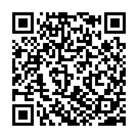 QR code for ZXI308
