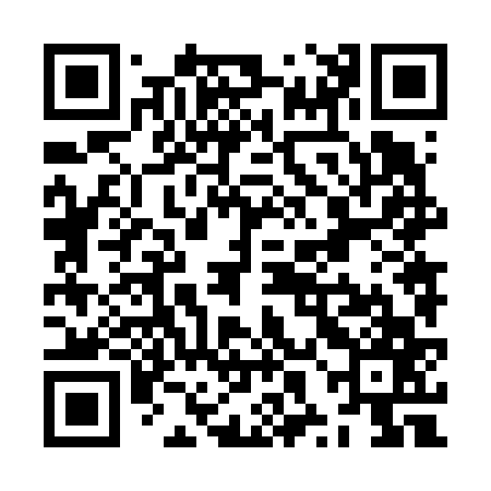 QR code for ZXN667