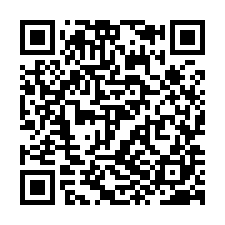 QR code for ZXO980