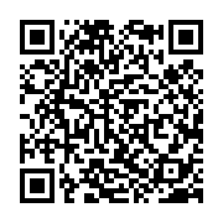 QR code for ZXT438