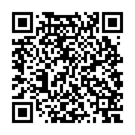 QR code for ZXV302