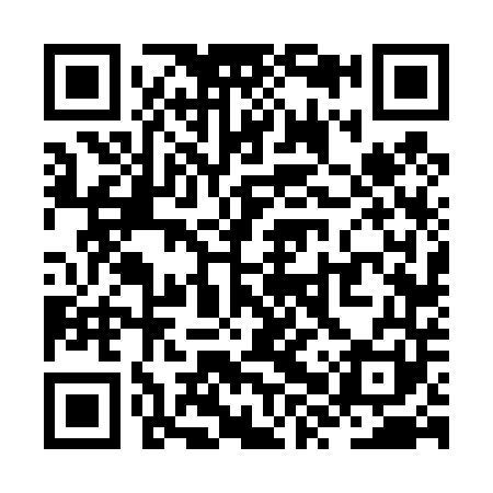 QR code for ZXV441