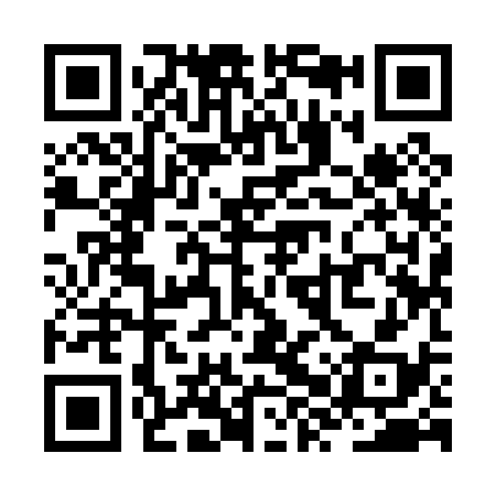 QR code for ZXY038