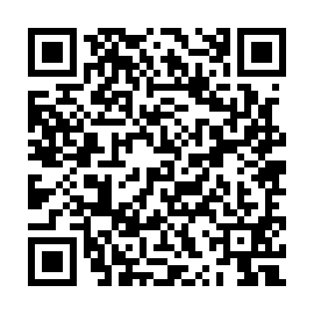 QR code for ZXZ1917