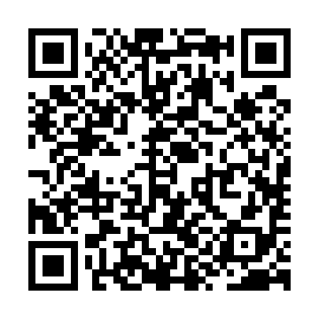 QR code for ZYB598