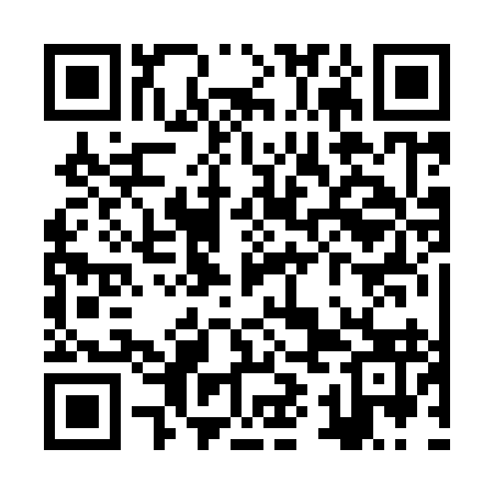 QR code for ZYB993