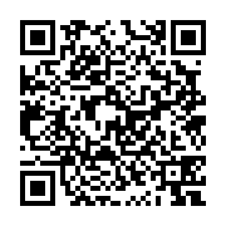 QR code for ZYC0383