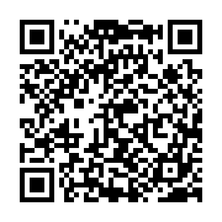 QR code for ZYD377