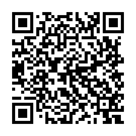 QR code for ZYG913