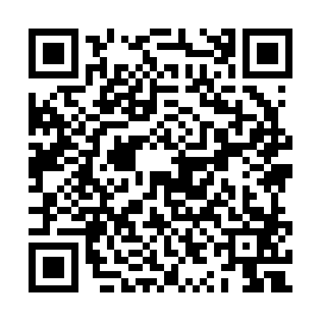 QR code for ZYI2832