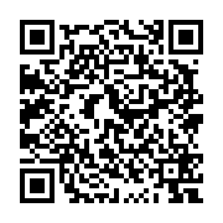 QR code for ZYI4696