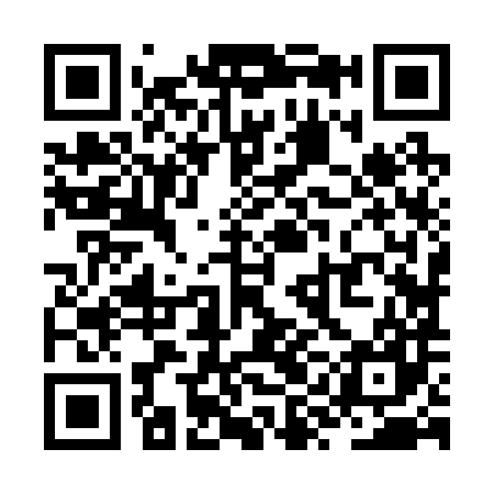 QR code for ZYJ287