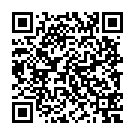 QR code for ZYL518