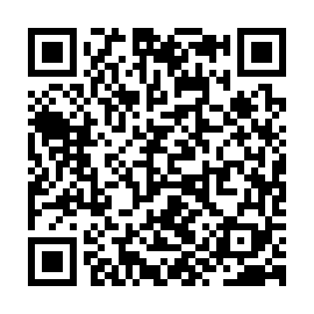 QR code for ZYQ369