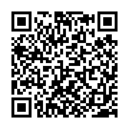 QR code for ZYV613