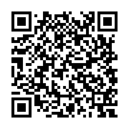 QR code for ZYV911