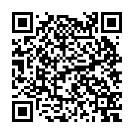 QR code for ZYZ236