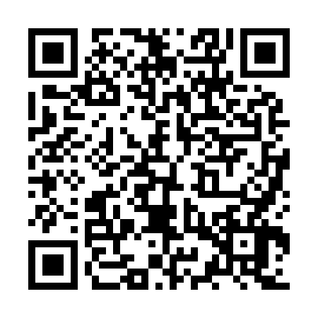 QR code for ZYZ9661
