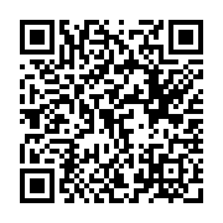 QR code for ZZG3383