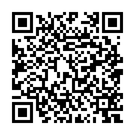 QR code for ZZH3563