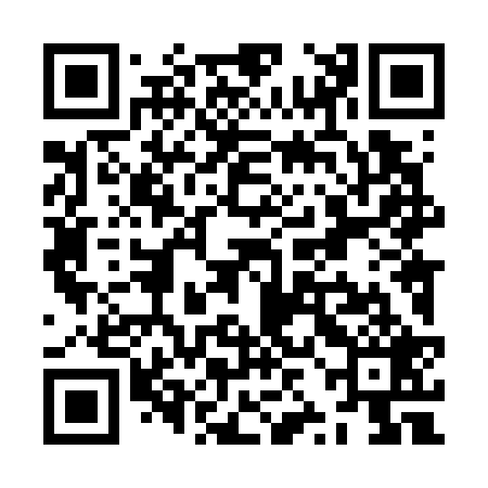 QR code for ZZL729