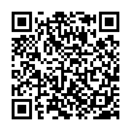 QR code for ZZL751