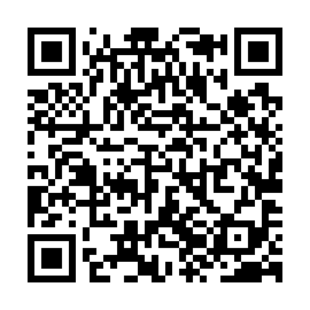 QR code for ZZL799