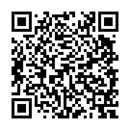 QR code for ZZN494