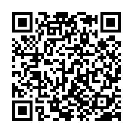 QR code for ZZN579
