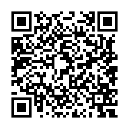 QR code for ZZN8675