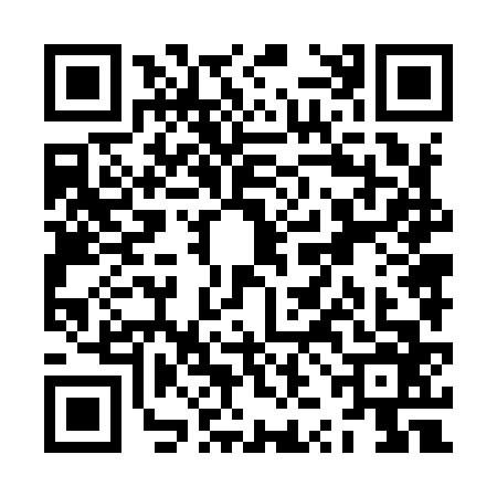 QR code for ZZN9663