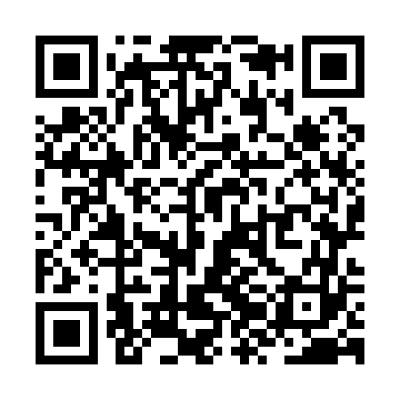 QR code for ZZO163