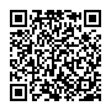 QR code for ZZO991